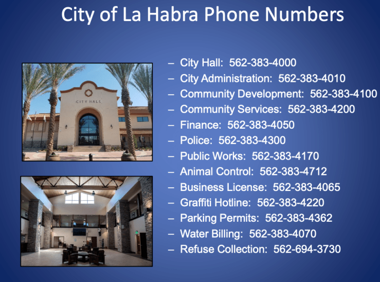 Screen Shot 2019-02-12 at 8.02.54 AM