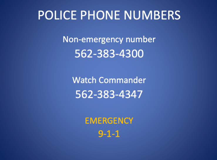 Screen Shot 2019-02-12 at 8.03.35 AM